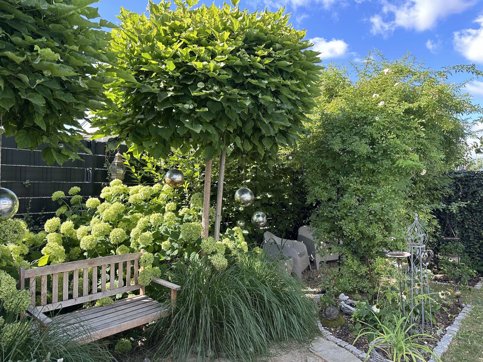 Jessica Natters Garten im Sommer: ein Kugel-Trompetenbaum über weiß blühenden Hortensien, Ziergräser, eine verwitterte Holzbank und spiegelnde Gartenkugeln.